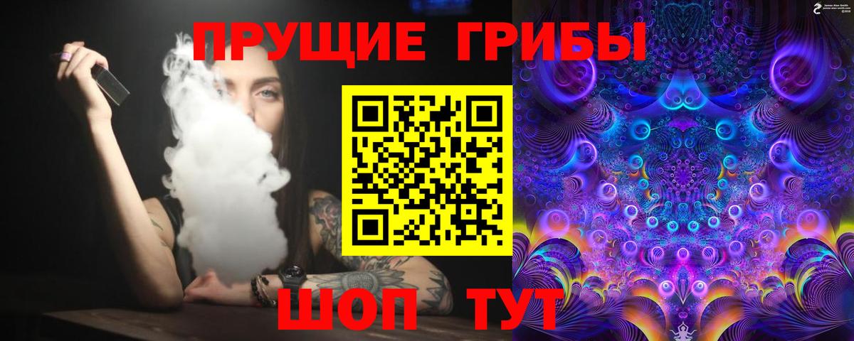 Северск  Псилоцибиновые грибы GOLDEN TEACHER  Вход с VPN  Галлюциногенные грибы Cubensis 